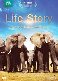 Câu Chuyện Cuộc Sống - Life Story (2014)