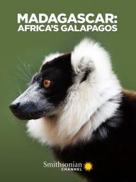 Madagascar: Africa's Galapagos - Madagascar: Africa's Galapagos (2019)