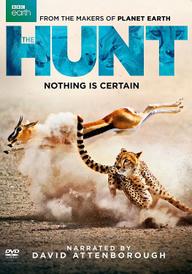 Săn Mồi - BBC: The Hunt (2015)