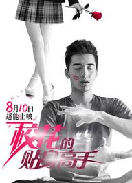 Cao Thủ Cận Vệ Của Hoa Khôi - Mr. Bodyguard (2016)